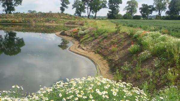Orzechowy Dworek Nowy Dwór Gdański Exteriör bild