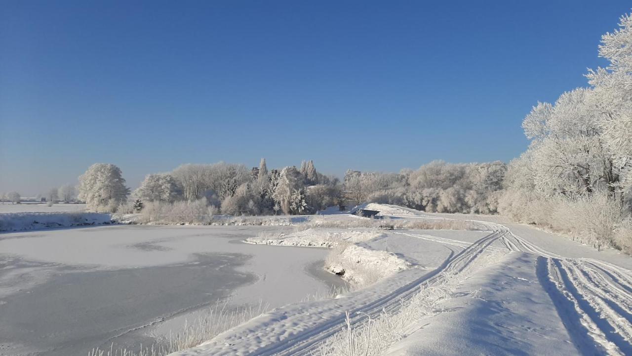 Orzechowy Dworek Nowy Dwór Gdański Exteriör bild